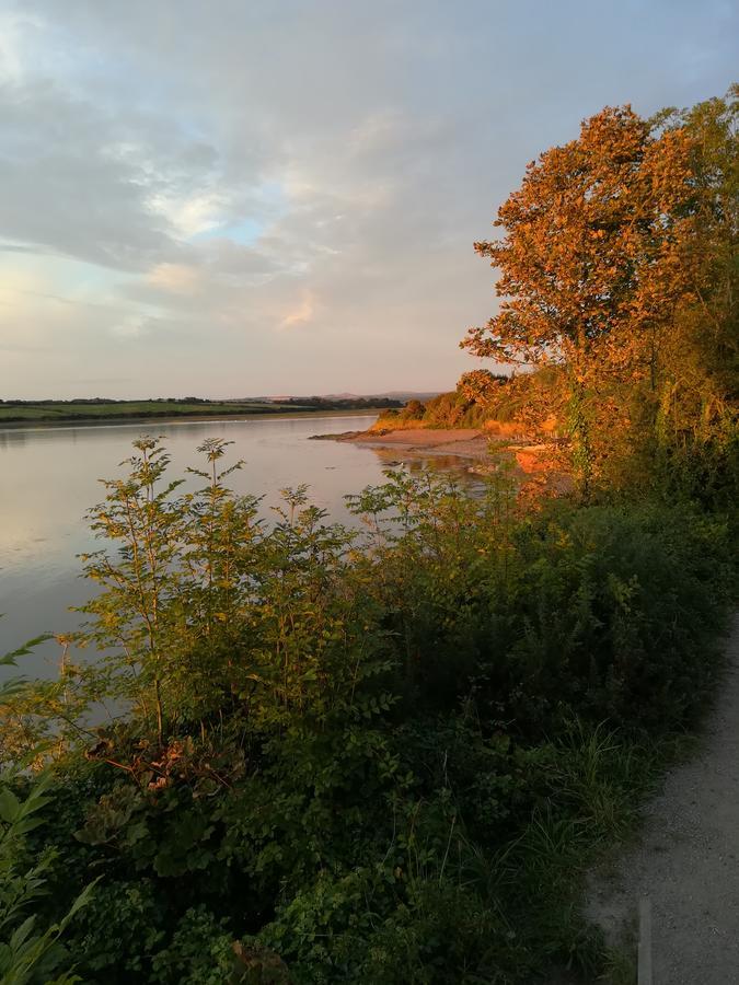 Tor View Bed & Breakfast Падстоу Екстериор снимка